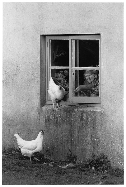 Annie Harvey feeding her chickens, Batworthy Farm 1980.jpg