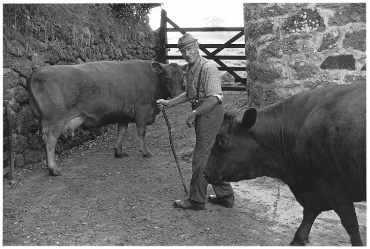 Charlie Mead the night before he sold his cows. Mount Pleasant Farm, Murchington 1999.jpg