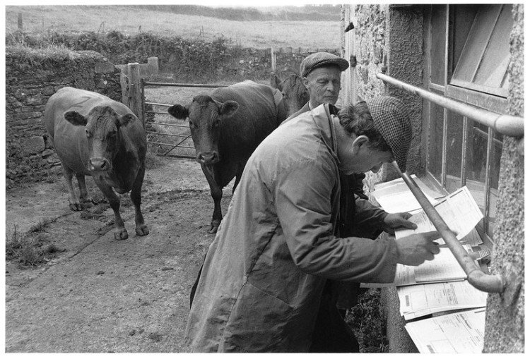 Clifton & auctioneer sorting the passports 1998.jpg
