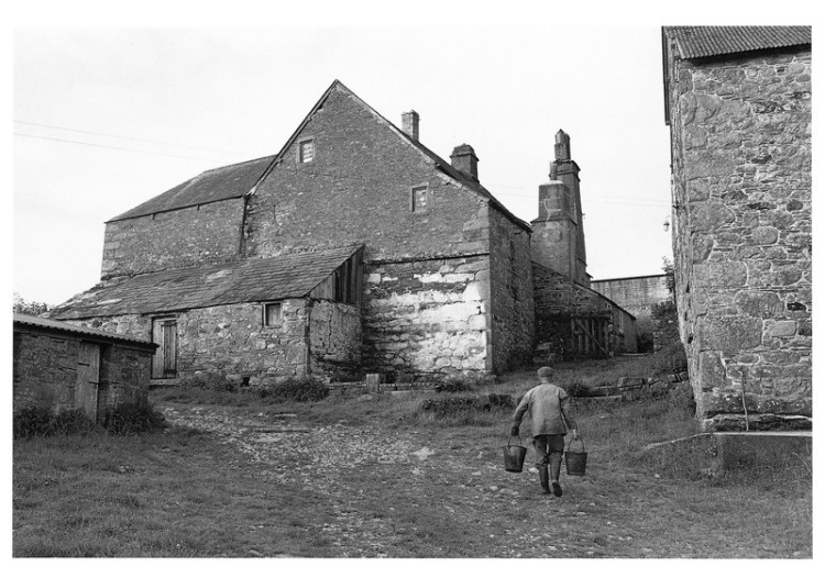 Clifton Dennis carrying milk to the dairy, 1998.jpg