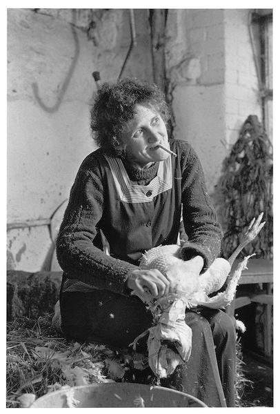 Daisy Bolt plucking turkeys, Chapple Farm, Gidleigh 1980.jpg