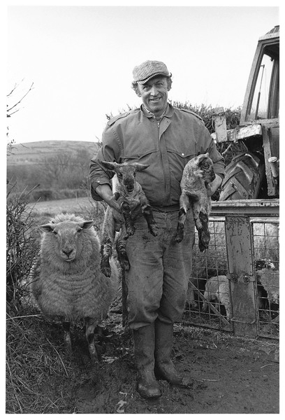 Derek Hext at lambing time, Buckland in the Moor, 1999.jpg