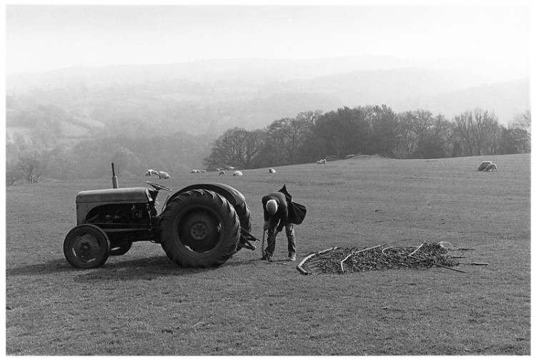 Jack Lewis chain harrowing, Murchington 1988.jpg