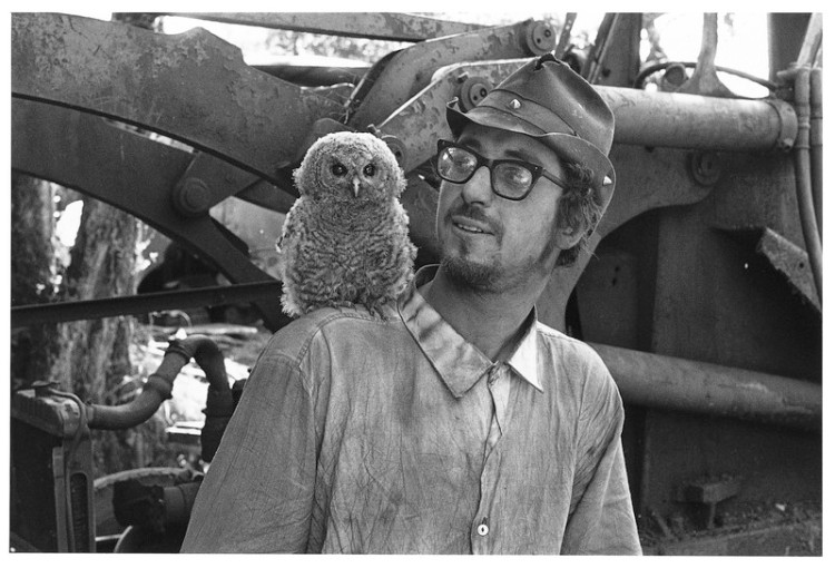 Jim Harris & his pet Tawny owl, Ollie. Sam's scrapyard, Lettaford 1984.jpg