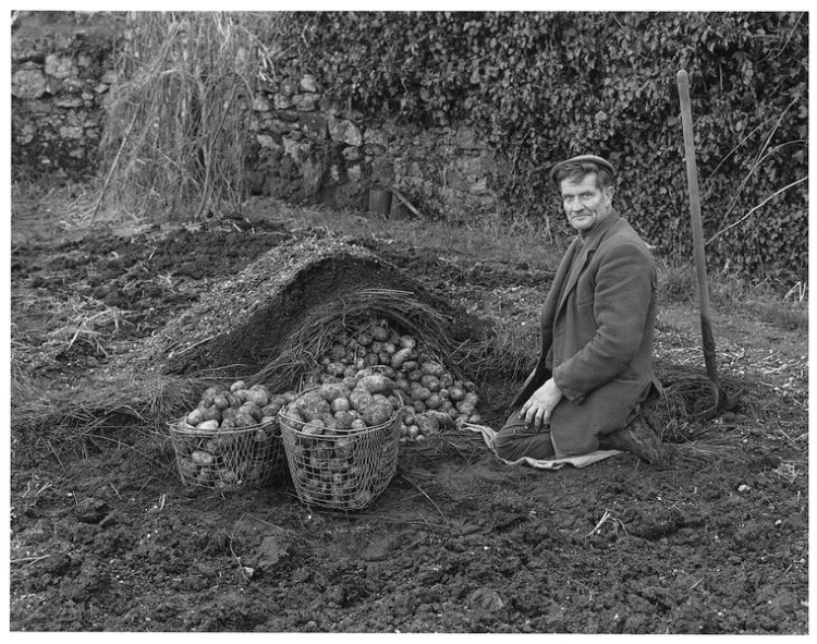 Joe White and his 'teddie' pit, Batworthy Farm, Chagford 1982.jpg