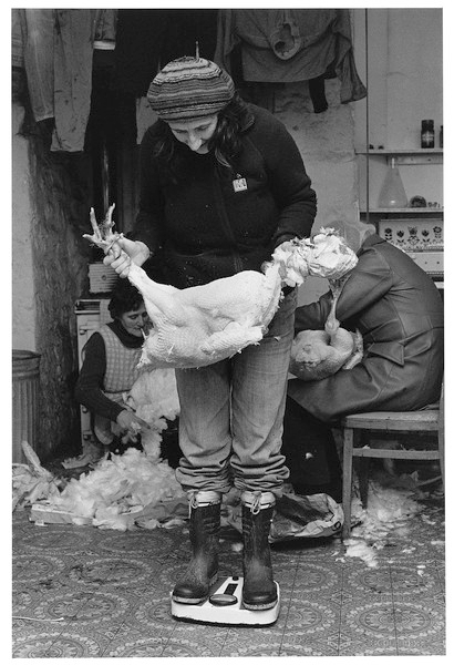 Maggie Clark weighing turkeys, Mill Farm, Throwleigh 1982.jpg