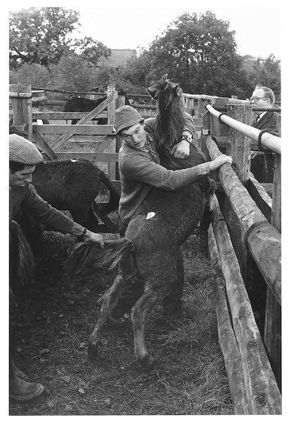 Will Hutchings, Chagford Pony Sale 1978.jpg