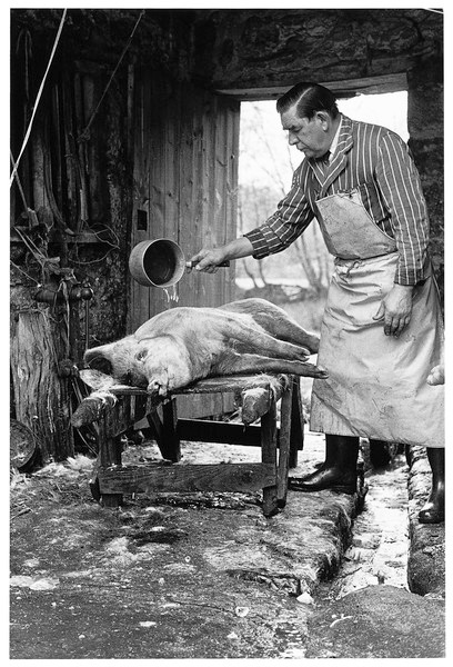 Zachy Mortimore scalding a pig, Batworthy Farm, Chagford 1979.jpg